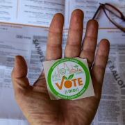 Mock Elections
